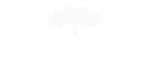 20in20 Partners